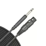 Planet Waves PW-CGMIC-25